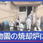 レス1番のリンク先のサムネイル画像