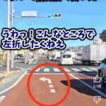 レス1番の画像2