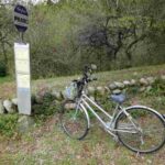 レス4番の画像1