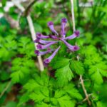 レス45番の画像1