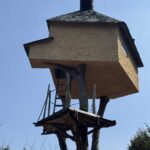 レス3番の画像2