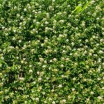 レス2番の画像1