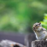 レス10番の画像1