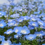 レス23番の画像1