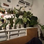 レス26番の画像1