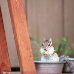 レス28番の画像1