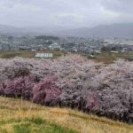 レス2番の画像8