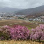 レス2番の画像7