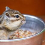 レス18番の画像1