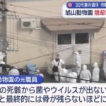 レス1番の画像5