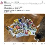 レス31番の画像2