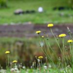 レス20番の画像1