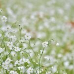 レス7番の画像1