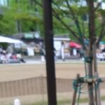 レス28番の画像1