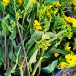 レス2番の画像2