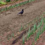 レス28番の画像1