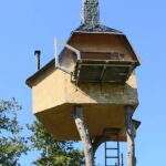 レス39番の画像1