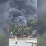 レス1番の画像5