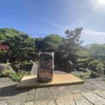 レス2番の画像1