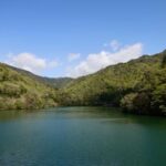 レス9番の画像1