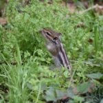 レス7番の画像2