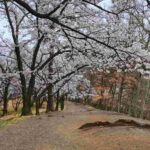 レス2番の画像11