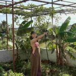 レス5番の画像5