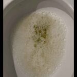 レス2番の画像1