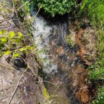 レス2番の画像5