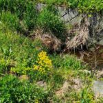 レス2番の画像4