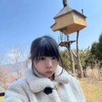 レス3番の画像1