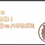 レス17番の画像5