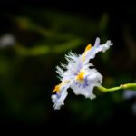 レス27番の画像1