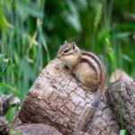 レス20番の画像1