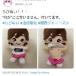 レス17番の画像1