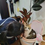 レス1番の画像5