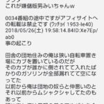 レス13番の画像4