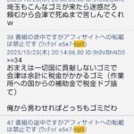 レス33番の画像12