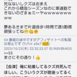 レス33番の画像10