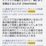 レス33番の画像22