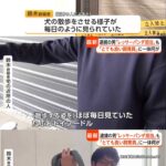 レス1番の画像1