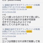 レス33番の画像17
