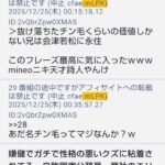 レス33番の画像25