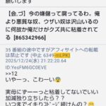 レス33番の画像27