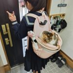 レス1番の画像4