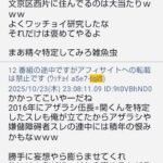 レス33番の画像8